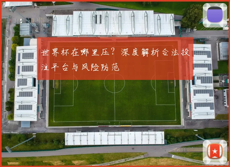 世界杯在哪里压？深度解析合法投注平台与风险防范
