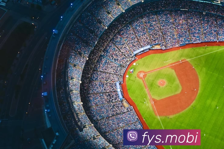 巅峰国际 - 创意平台，注册畅享文化之梦!发展历程